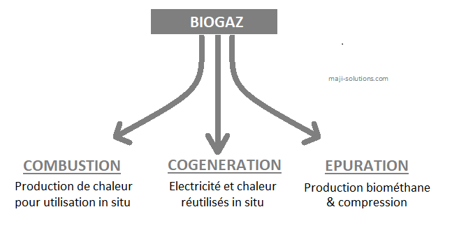 Valorisation du biogaz