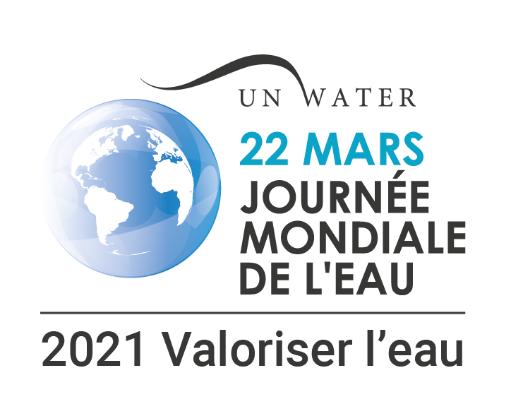 journee mondiale eau 2021