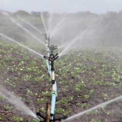 irrigation-reutilisation-eaux-usees